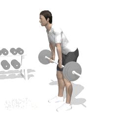 功能性腿部訓練方法（堅持練腿的好處）7