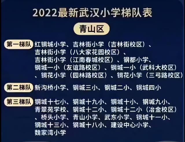 武漢各區小學排行榜（2022武漢各城區小學梯隊排名）6