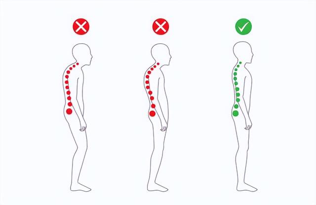 哪個動作最能體現脊柱的穩定性（什麼是脊柱中立位）4