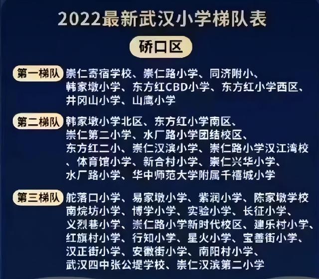 武漢各區小學排行榜（2022武漢各城區小學梯隊排名）4