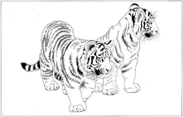 老虎卡通畫2022虎年（28張老虎黑白線描圖）6
