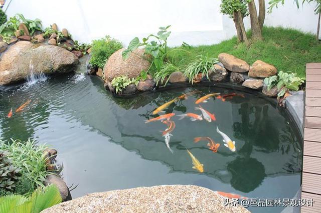 大庭院建什麼樣的魚池（為什麼國人的院子都喜歡做一個魚池）3