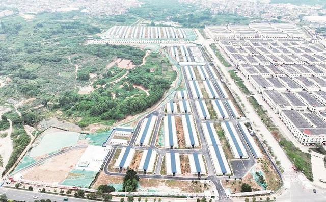 漳州前8月完成重點項目建設投資1564億元（漳州前8月完成重點項目建設投資1564億元）3