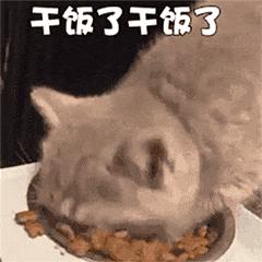 貓咪最喜歡的4種食物