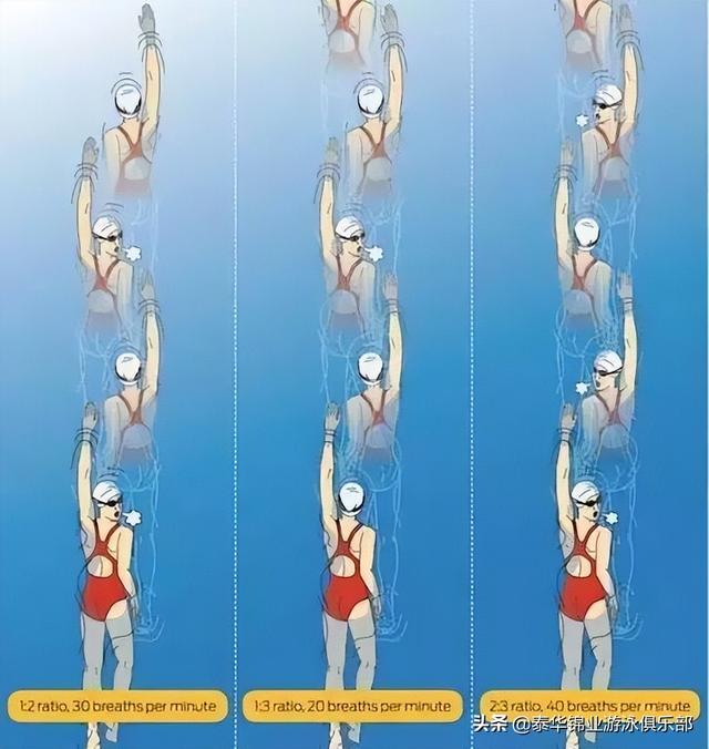 遊泳過程中換氣技巧慢動作（幹貨遊泳換氣的動作要領和呼吸技巧）3