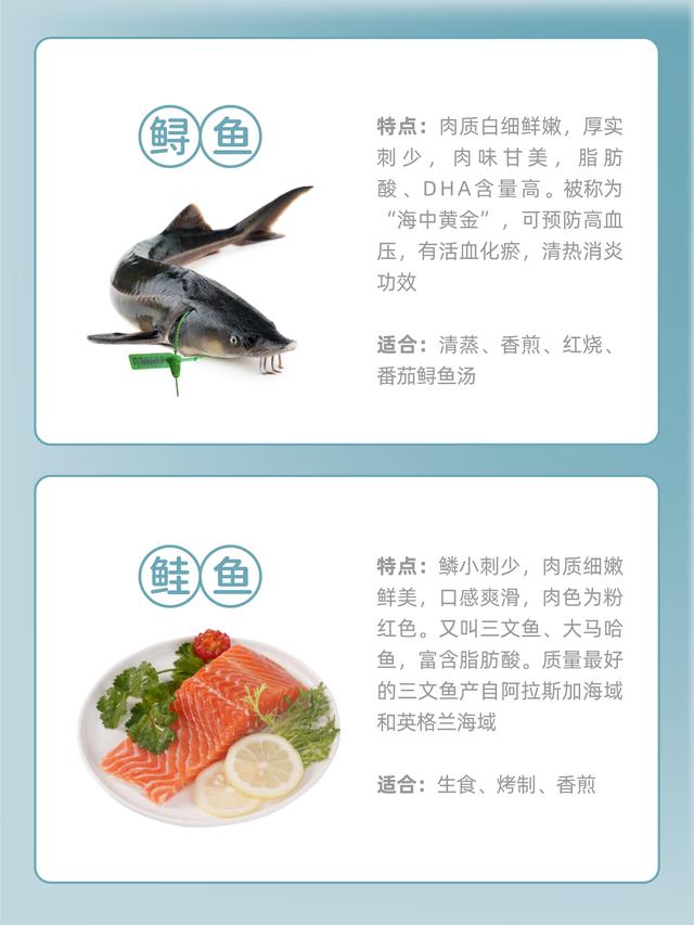 海魚種類大全及圖解（常見海魚的種類和特點）5