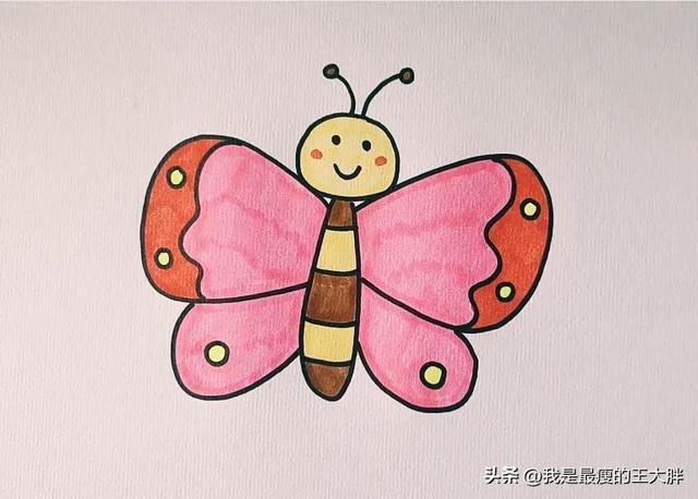 蝴蝶簡筆畫畫的又簡單又漂亮（漂亮的蝴蝶簡筆畫）2
