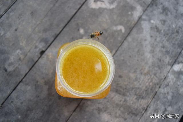 土蜂蜜和一般蜂蜜哪種好（什麼品牌的蜂蜜好）3