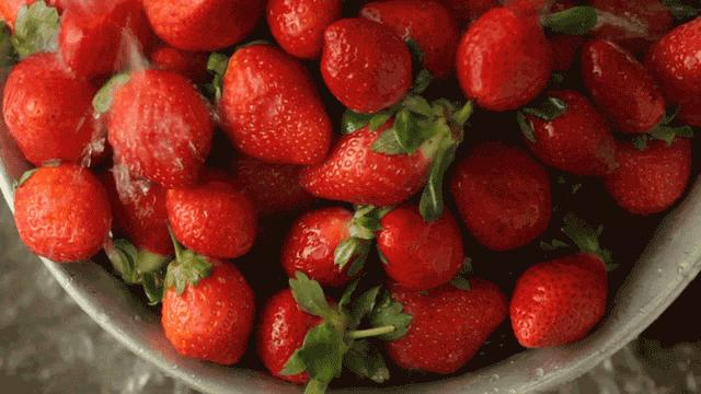 草莓和什麼一起吃會過敏（吃草莓會得出血熱）28