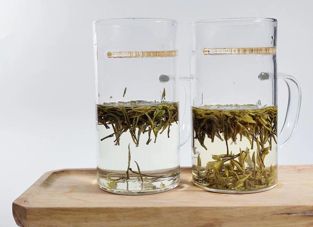 江南五選白茶是什麼茶種（江蘇綠楊春茶與浙江安吉白茶對沖評測）8