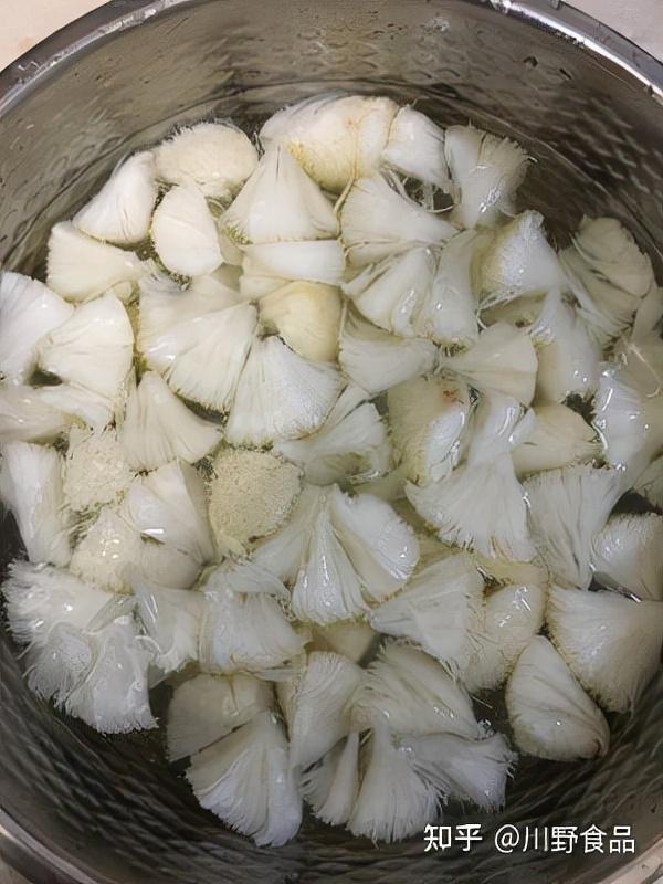 六種菌菇煲雞湯（川野菌珍堂猴頭菇炖雞湯）4