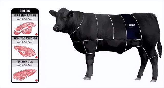 牛各個部位的示意圖（牛部位分割圖及部件）11