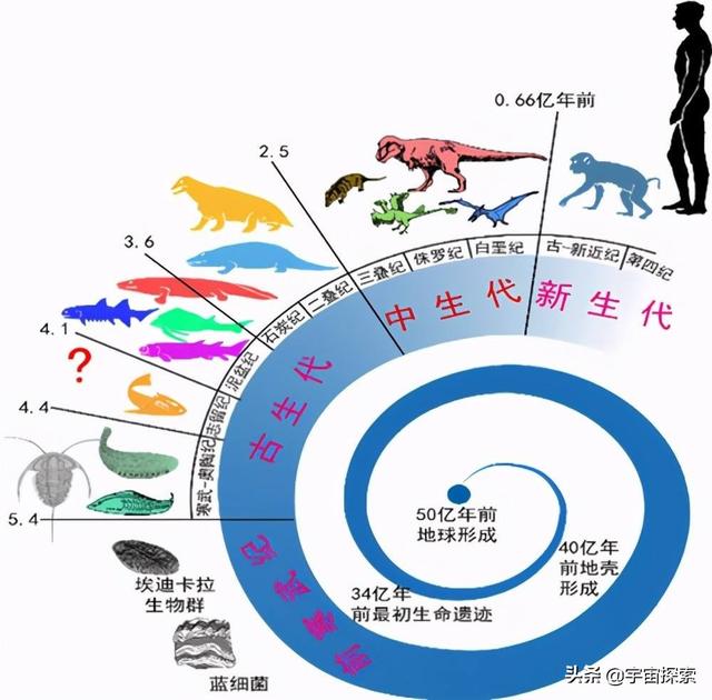 65000萬年前恐龍滅絕的真相（6500萬年前恐龍滅亡）1
