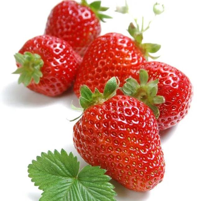 草莓花苞為什麼是綠色的（草莓表面上的黃色顆粒才是種子）3