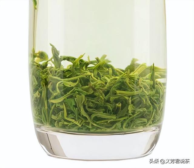 具有代表性的五款綠茶（喝懂這六種綠茶）6