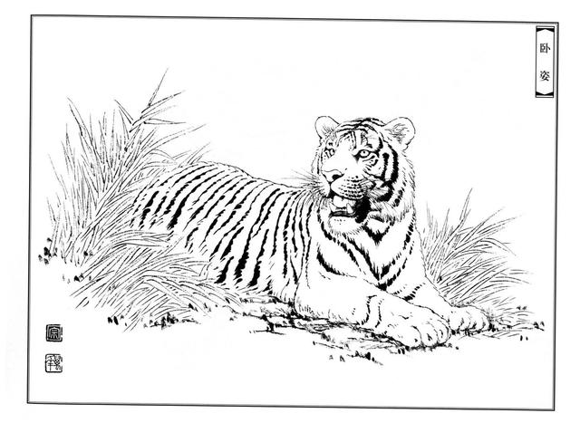 老虎卡通畫2022虎年（28張老虎黑白線描圖）17