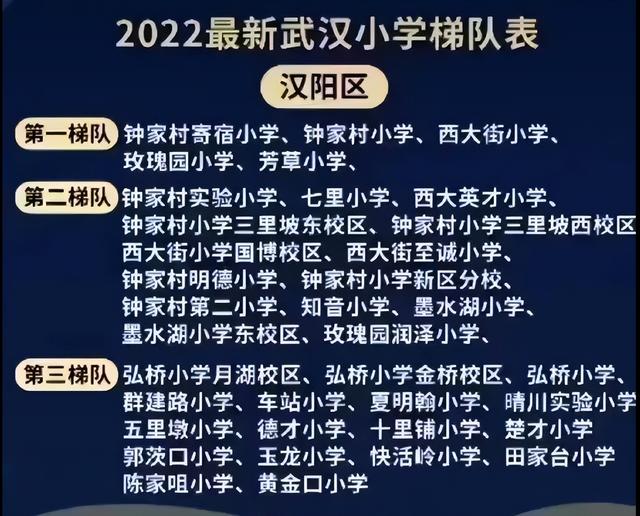 武漢各區小學排行榜（2022武漢各城區小學梯隊排名）7