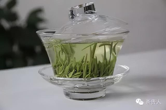 怎麼用蓋碗泡綠茶（不得不說蓋碗泡綠茶）12