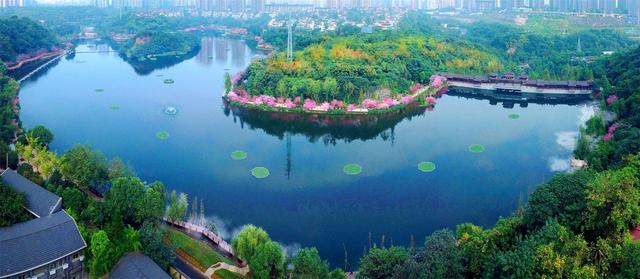重慶附近有哪些濕地公園（周末去重慶這些超高顔值濕地公園）2