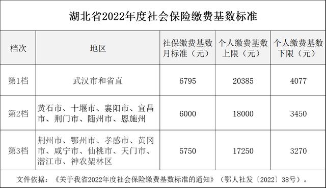 湖北省社會保險繳費标準最新（湖北公布2022年社會保險繳費基數）3