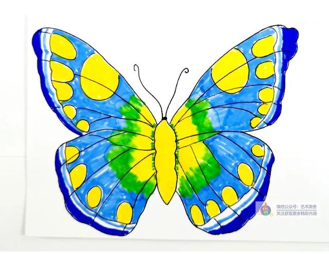 怎麼畫蝴蝶最好看兒童畫（兒童畫教程創意剪貼畫--翩翩起舞之立體蝴蝶）11