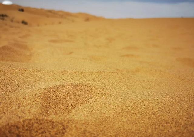 沙漠的沙是沙子嗎（沙漠的沙子是哪兒來的）1