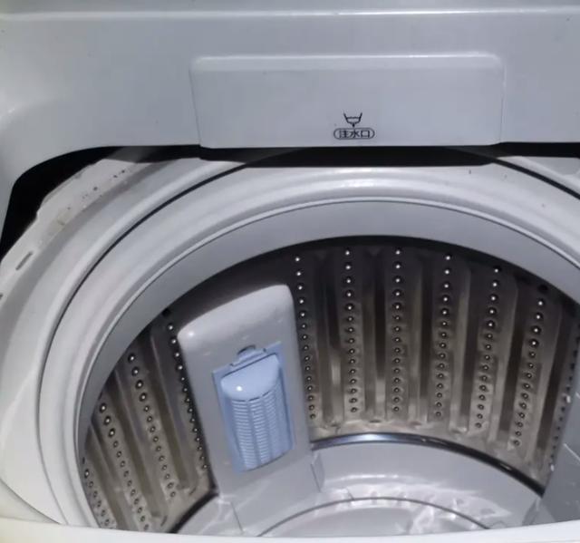 洗衣機洗衣服會沾上白色污漬（洗衣機洗完的衣服上沾滿了小毛絮）3