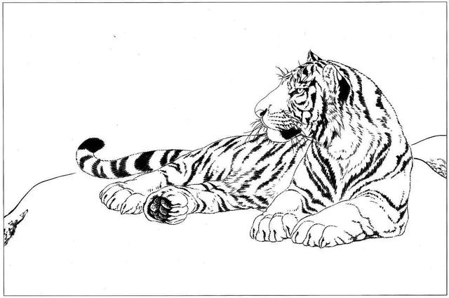老虎卡通畫2022虎年（28張老虎黑白線描圖）15