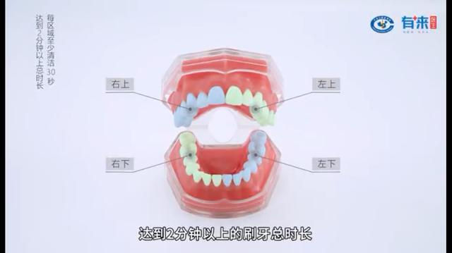 怎樣使用電動牙刷才能保護牙齒（牙科護理小知識）6