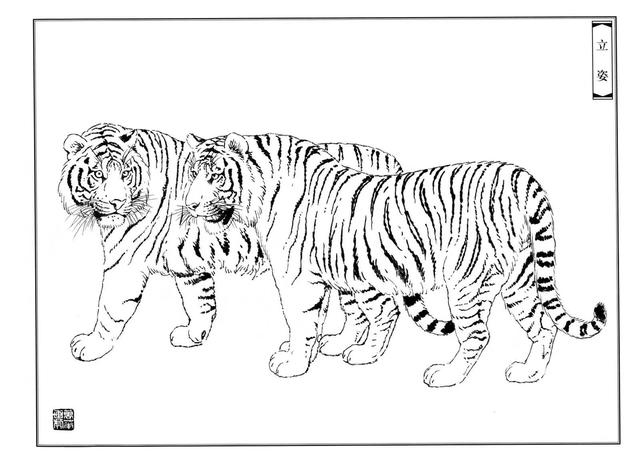 老虎卡通畫2022虎年（28張老虎黑白線描圖）18