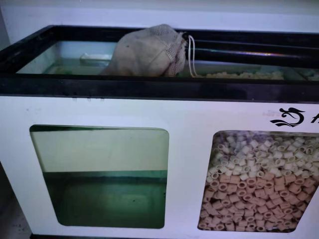 魚缸下過濾系統的使用方法（關于魚缸過濾系統）2