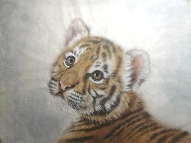 老虎的畫法素描霸氣（老虎的畫法）23