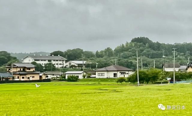 日本農村房子裡面的樣子（日本農村的房子是啥樣）1