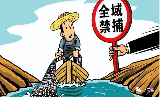 長江魚類大小排行（長江現有魚類種類組成和魚類資源狀況概述）7