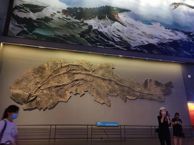 如何參觀天津國家海洋博物館（參觀濱海新區的）2