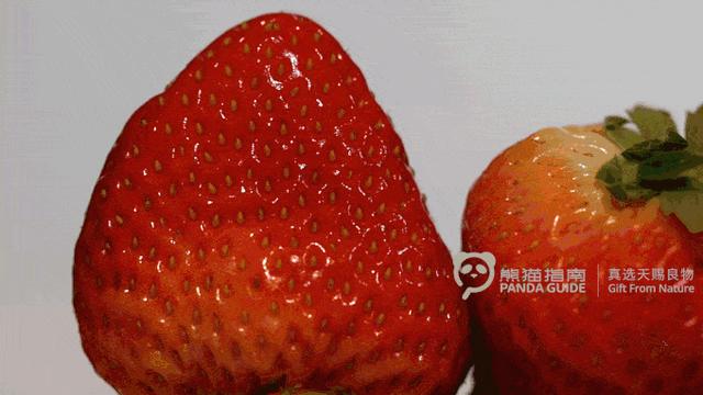 草莓和什麼一起吃會過敏（吃草莓會得出血熱）17