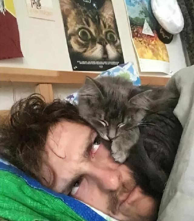 貓咪為什麼喜歡像人一樣睡覺（貓咪喜歡和人睡覺）6
