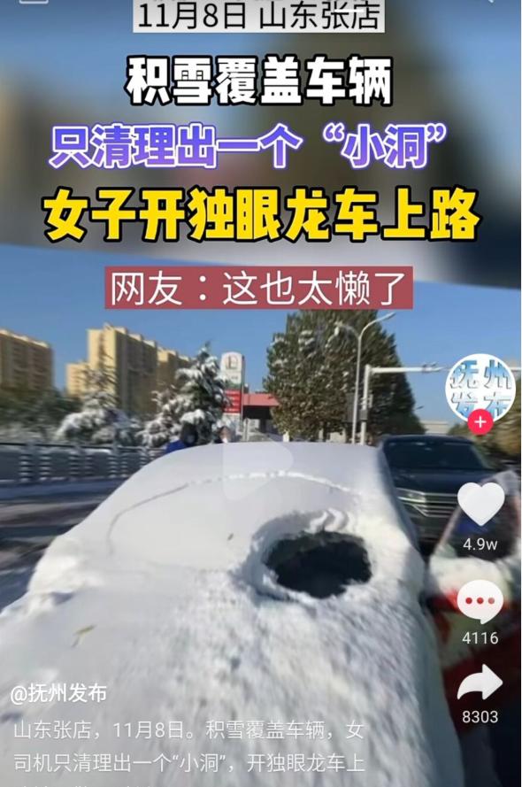 交通路況實時監控（看懵積雪覆蓋車輛）(1)