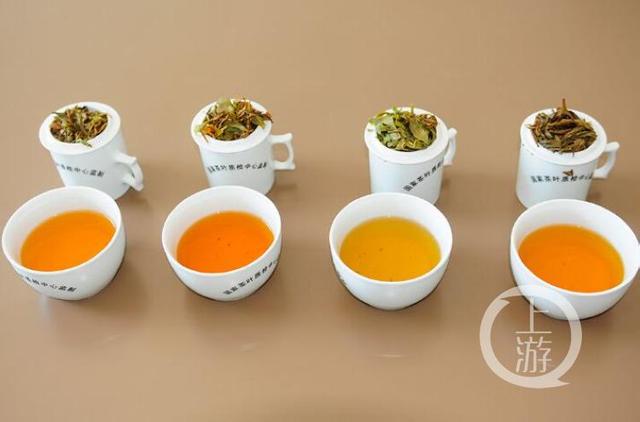 老鷹茶巫溪（不是茶的養生茶）1