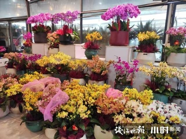 杭州花卉市場哪個便宜（杭州人熟悉的這家老牌花卉市場要關門了）8