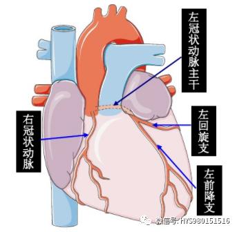 急性心梗的各種前兆（急性心梗的識别與處理）1
