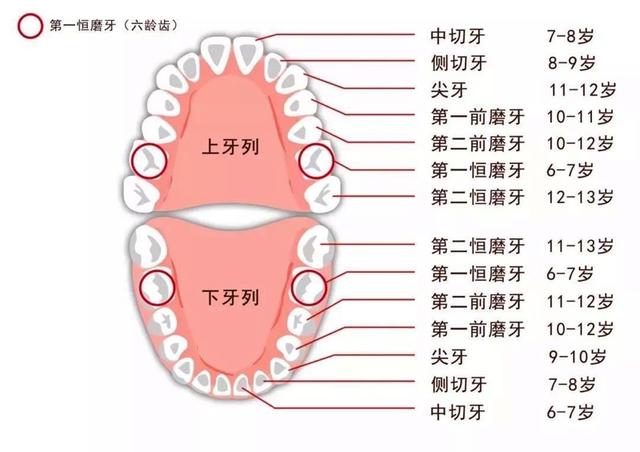 有蛀牙能給别的牙做窩溝封閉嗎（有效預防蛀牙80以上）5