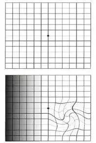 神腦洞仔細看圖裡面有多少條曲線（是直線還是曲線）2