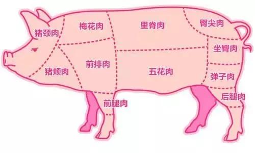 豬肉各個部位怎麼辨别（一張圖教你如何辨别不同部位豬肉）1