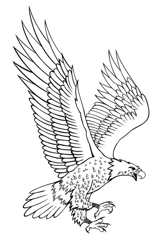 白鹭風筝的畫法簡筆畫（鳥兒的簡筆畫線稿）7