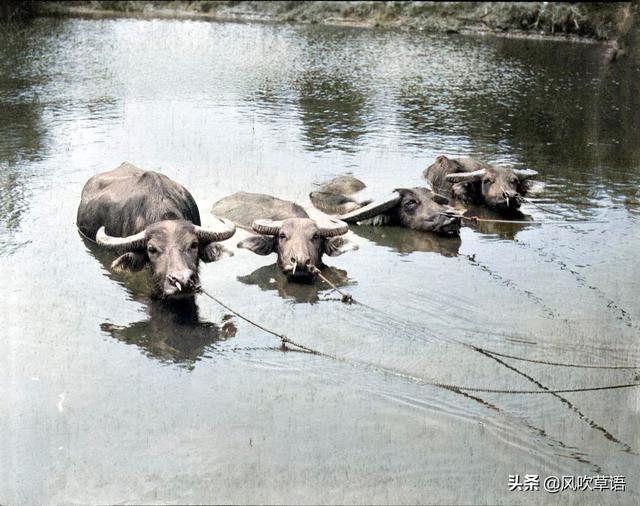 杭州什麼地方可以看京杭大運河（1918年的京杭大運河）12